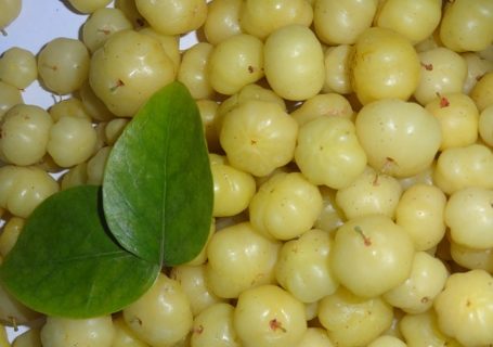 Amla – Ursprung, Wirkung und Anwendung