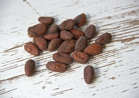Kakaobohne – gesunde Wirkung – ein Mythos oder Realität?