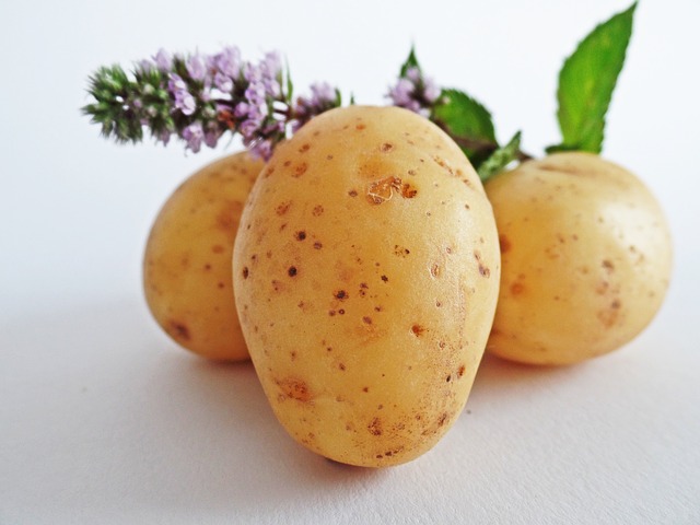 Kartoffeln – Kohlenhydrate – Das muss man wissen