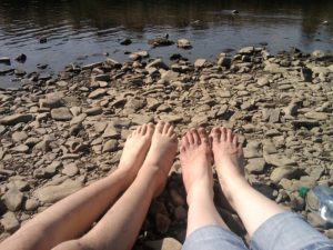Muskelrelaxans – pflanzliche Mittel zur Muskelentspannung