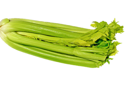 Sellerie roh essen – darf man Sellerie roh essen?