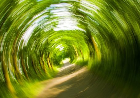 Was tun gegen Schwindel – Gibt es wirksame Hausmittel?