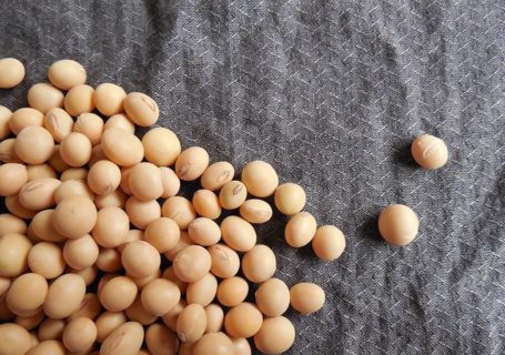 Östrogenhaltige Lebensmittel – Den Hormonhaushalt natürlich regulieren